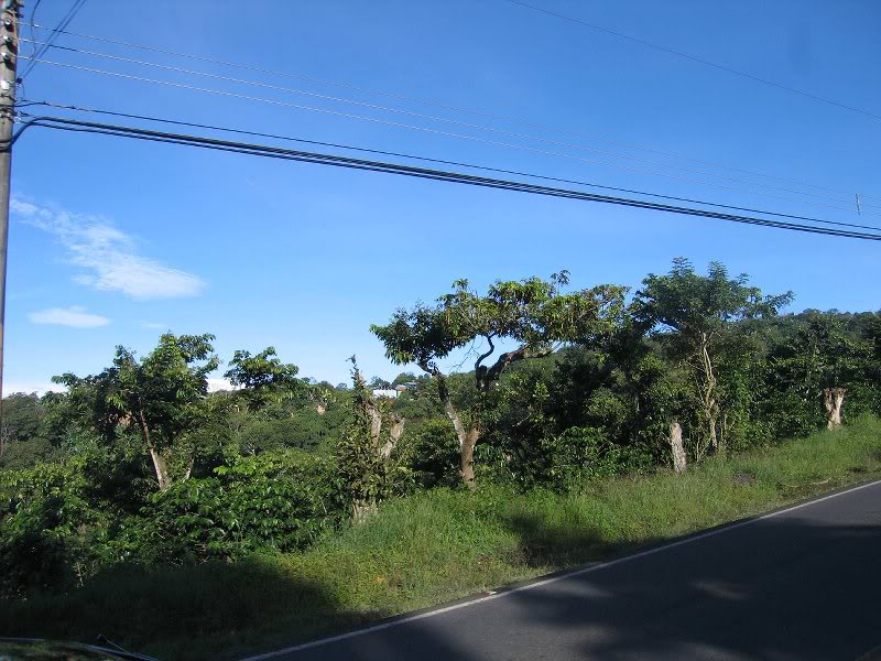 206-naranjo-200 60918 (11)