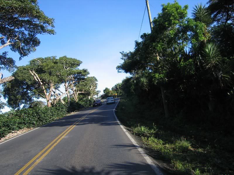 206-naranjo-200 60918 (12)