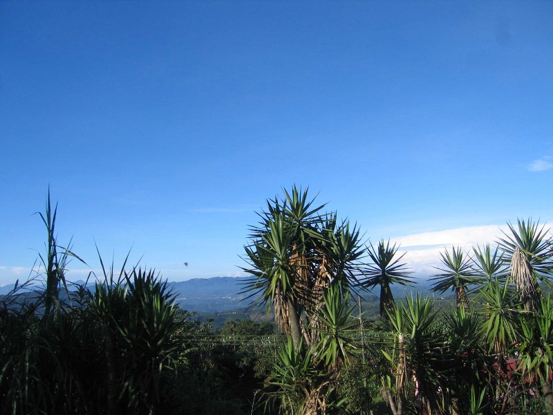 206-naranjo-200 60918 (14)