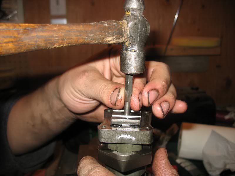 Remove Armature Screw