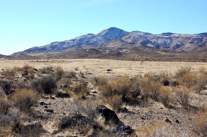 The flat above the petroglyphs