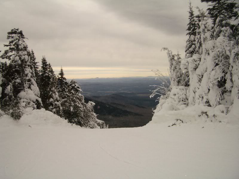 About 200 yds down Upper Chilcoot on Madonna Mt.