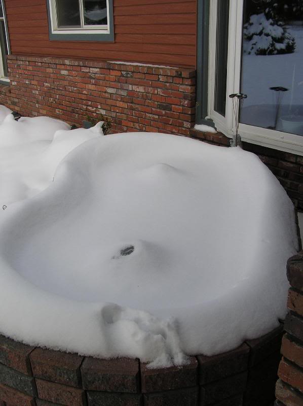 December 2006 snowstorm