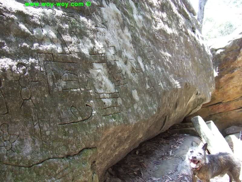 every man and his dog has been here.....