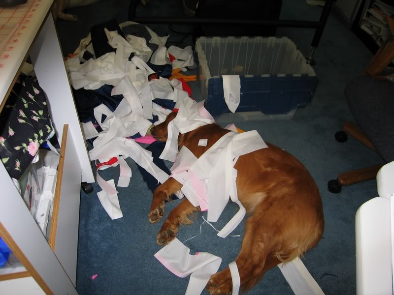 Still sleeping and it just keeps getting deeper!