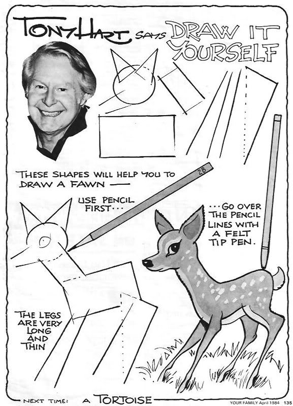 wilderness animal fawn