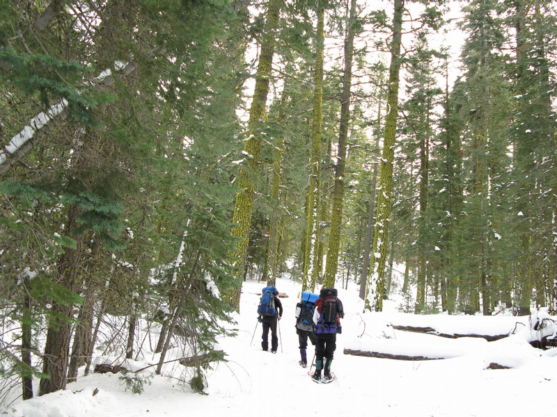 SUSAN, DUANE AND DAVE