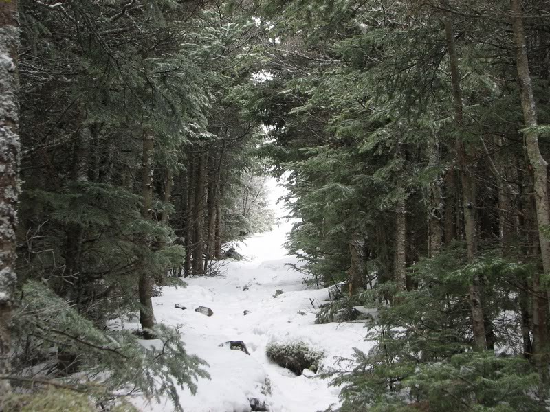 I see the light or at least the Hale Summit