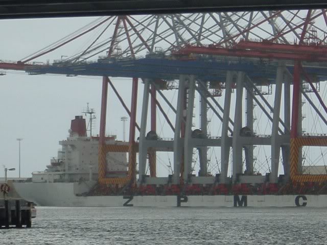 zhen hua 11 - 05