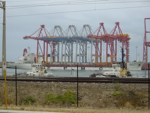 zhen hua 11 - 12