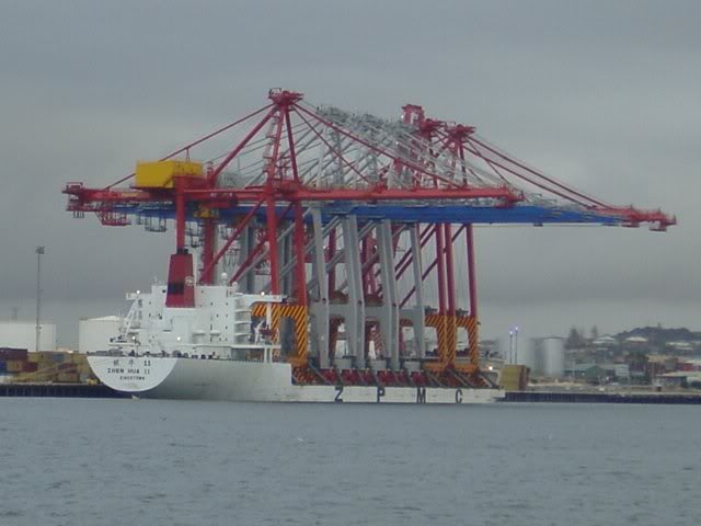 zhen hua 11 - 14