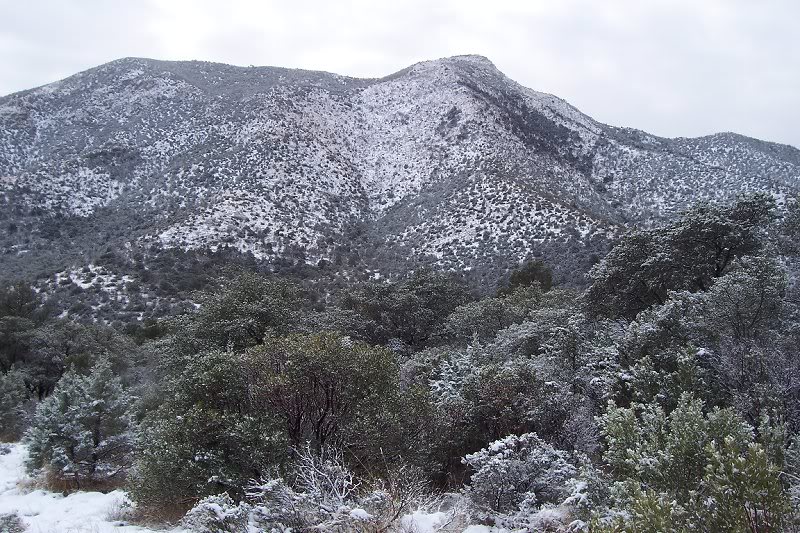 huachuca mts. so. e. az