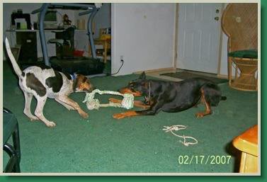 tug a war