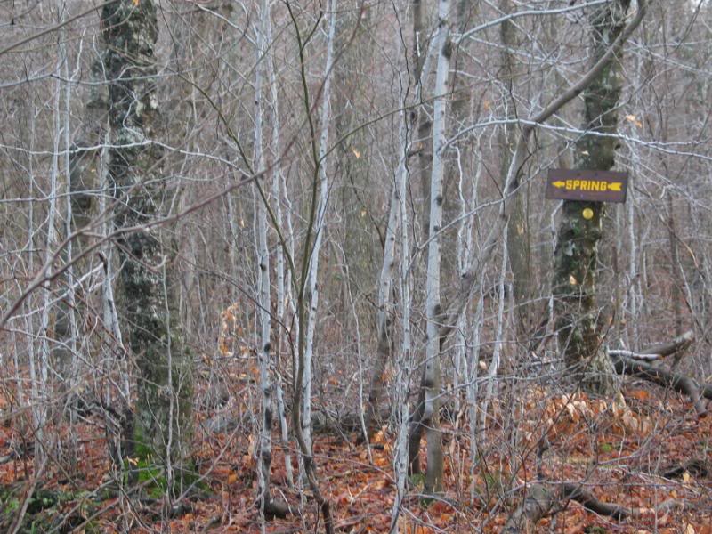 If that is where Spring is, where is winter?