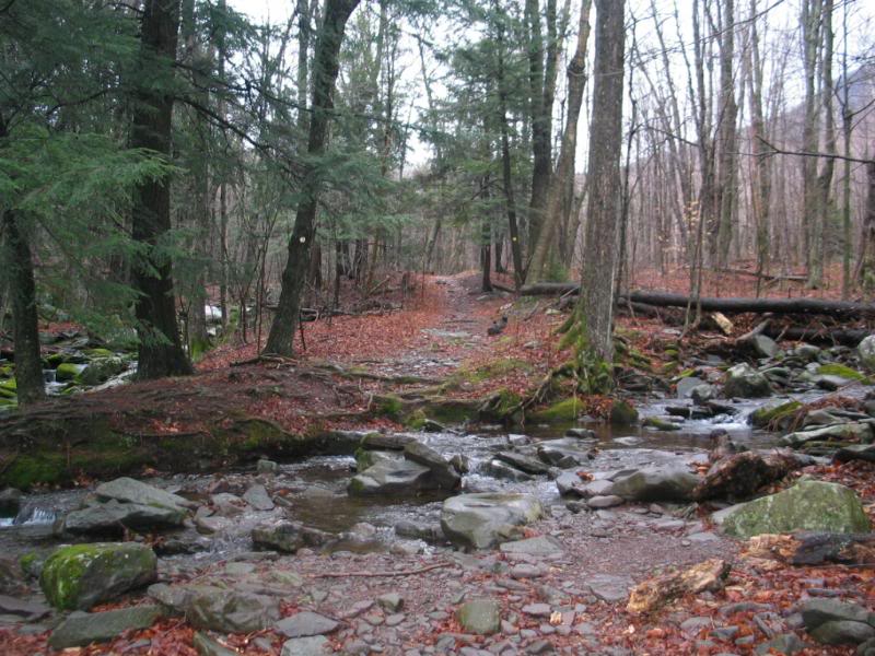 The Batavia Kill branch itself