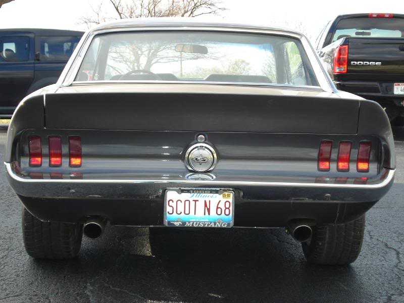 mustang back 1