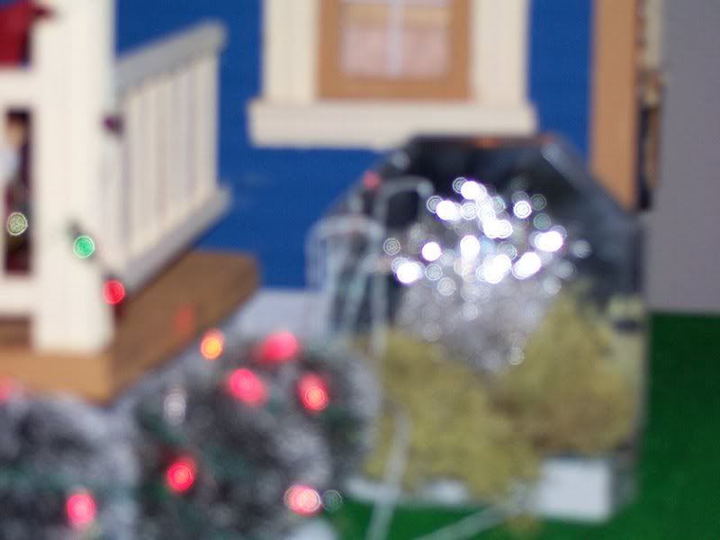 bird wash and lighted bushes