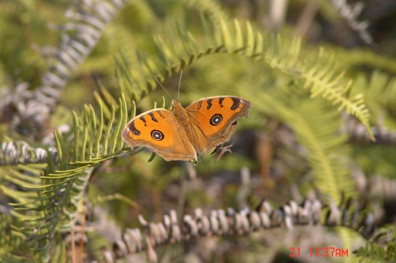 DSC00519 on the way to Sam A