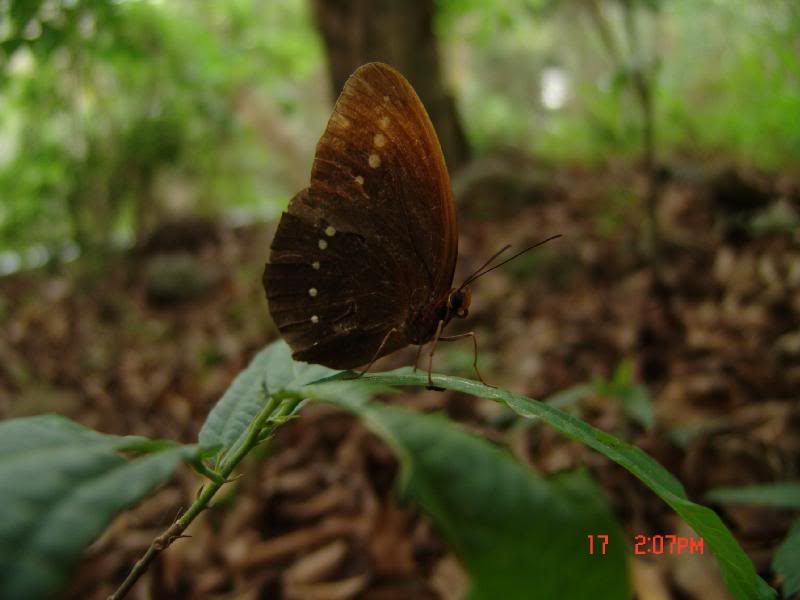 DSC01795 on the way to Pak Mong