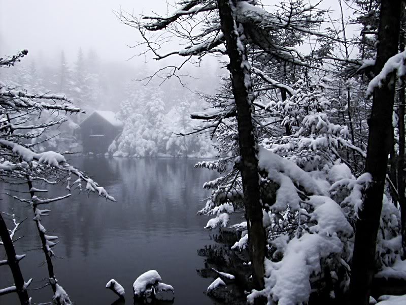 acw gaus-overlay-la bsharp