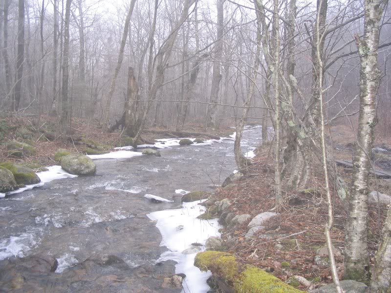 Just a little snow along the stream