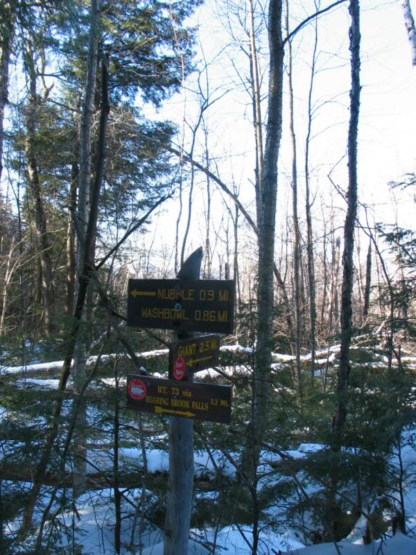 The junction with the trail to the Washbowl and Nubble