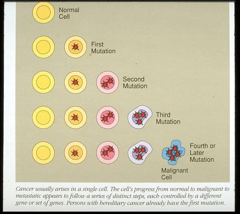 MUTATION IN STEM CELL