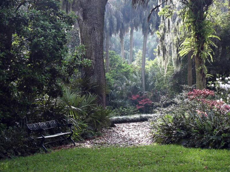 A Beautiful Spot To Sit