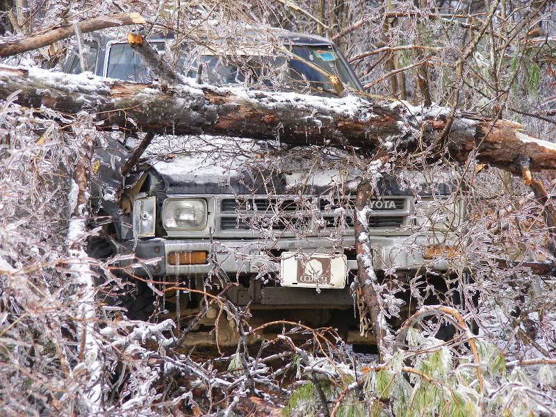 '86 Toyota under tree damage