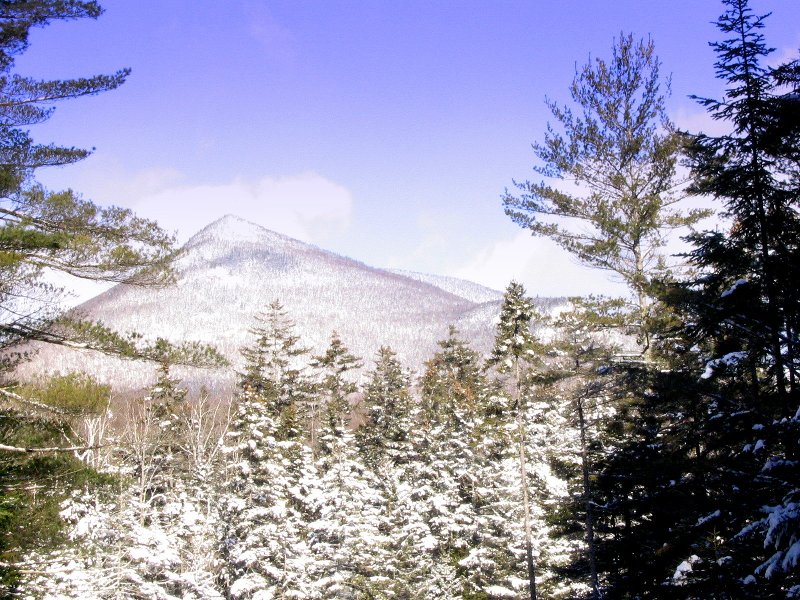 Our Objective--Owl' s Head