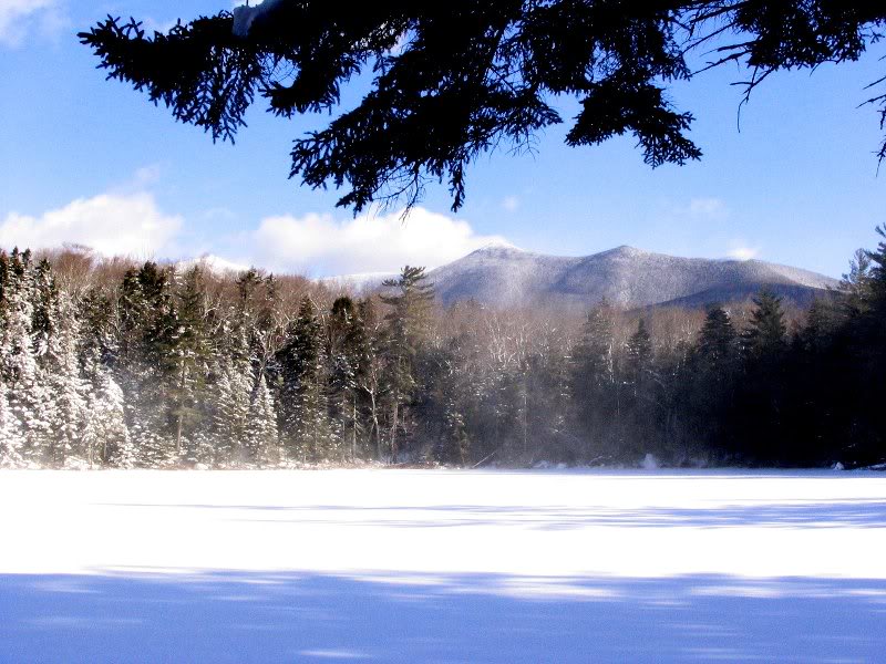 The Bonds and the Pond