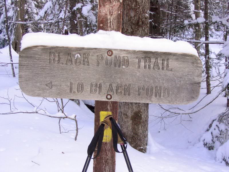 Toward the bushwhack