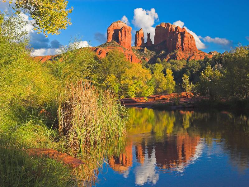 Cathedral Mesa Reflection