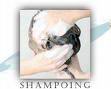 shampoing