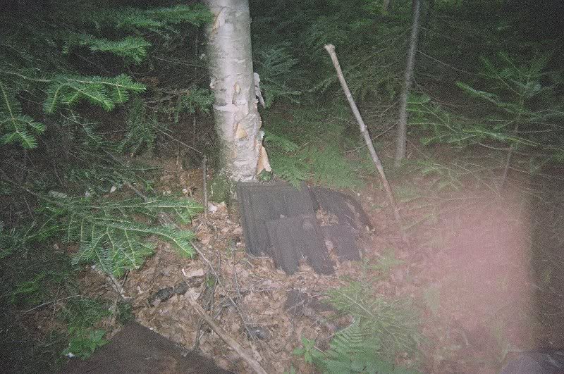Signs of Logging