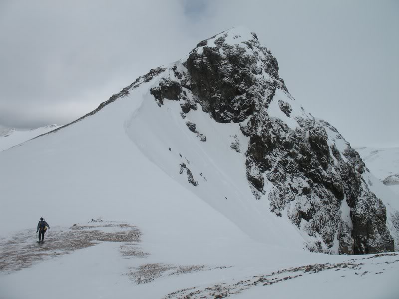 Bonita's cute summit block