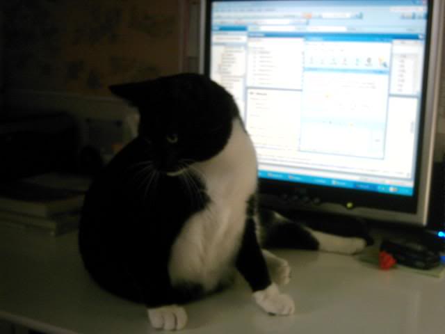 CoworkerSushi_1 -31-07