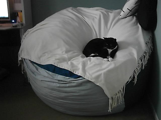 SushiLovesac2-1 2-07