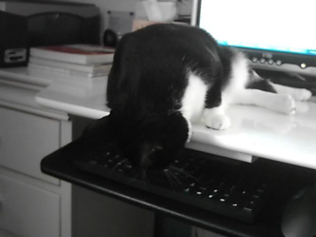 TypingSushi_1-3 1-07