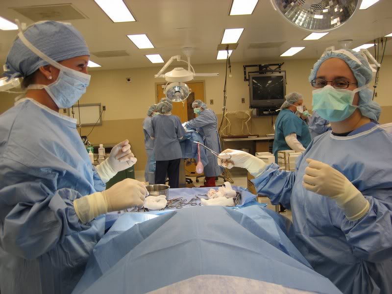 Dr. Despo with Testicle