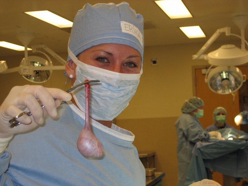 Dr. Wierman with Testicle