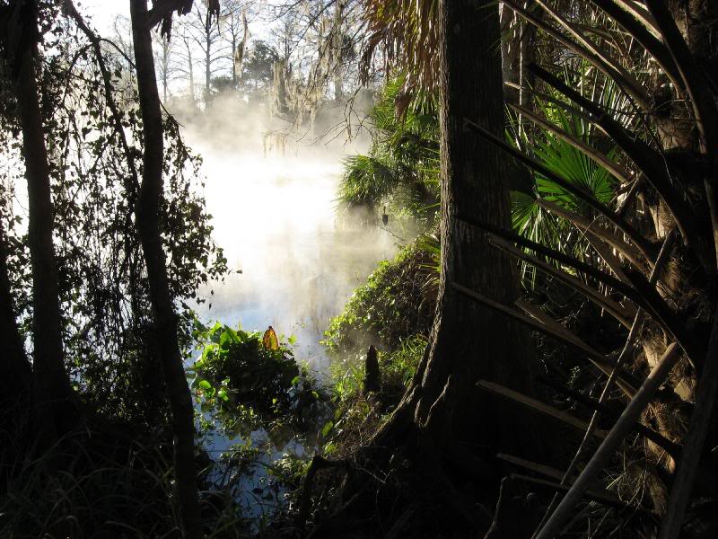 Ocala Florida Feb 2007