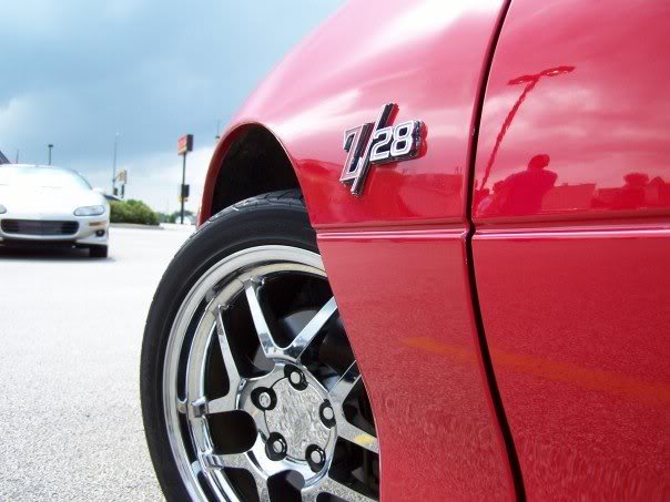 n500031355_3947 69_7977