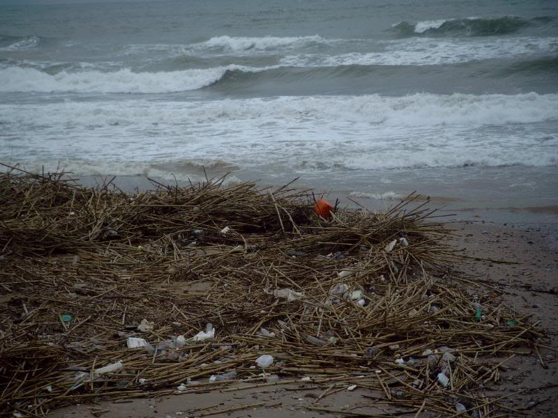 rubbish on the beach Nea Kydonia 3