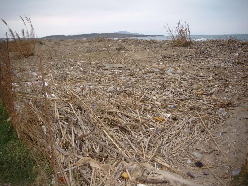 rubbish on the beach Nea Kydonia 7
