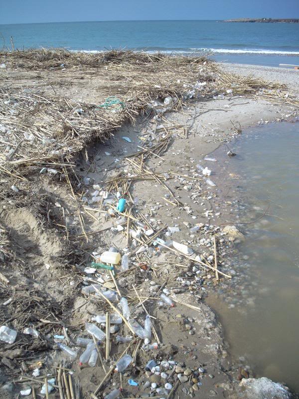 rubbish on the beach Nea Kydonia 8