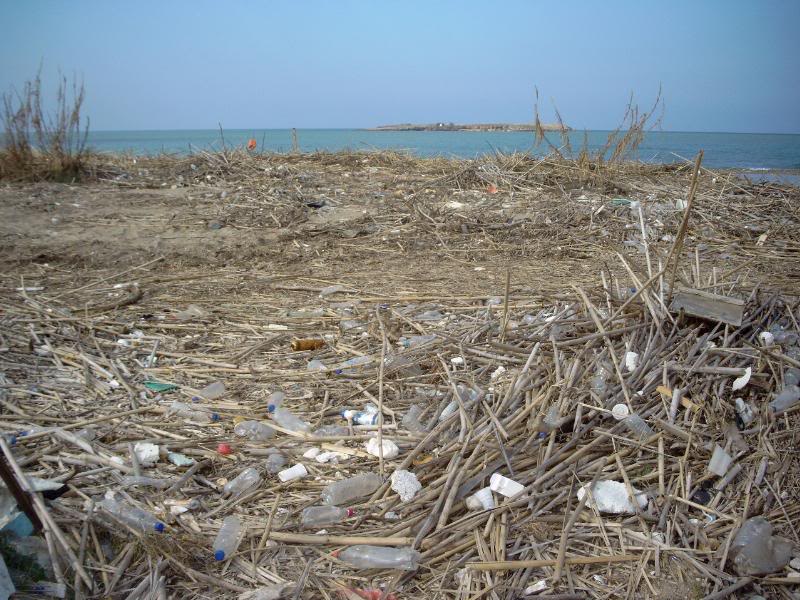 rubbish on the beach Nea Kydonia 9