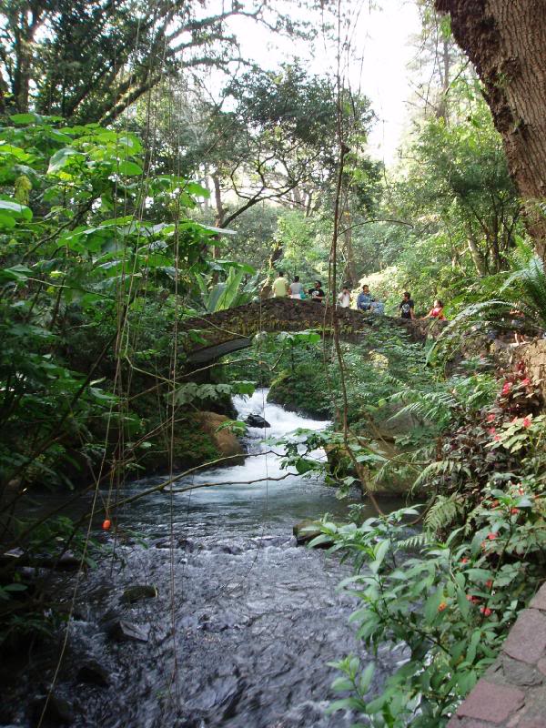 Bridge Over The River