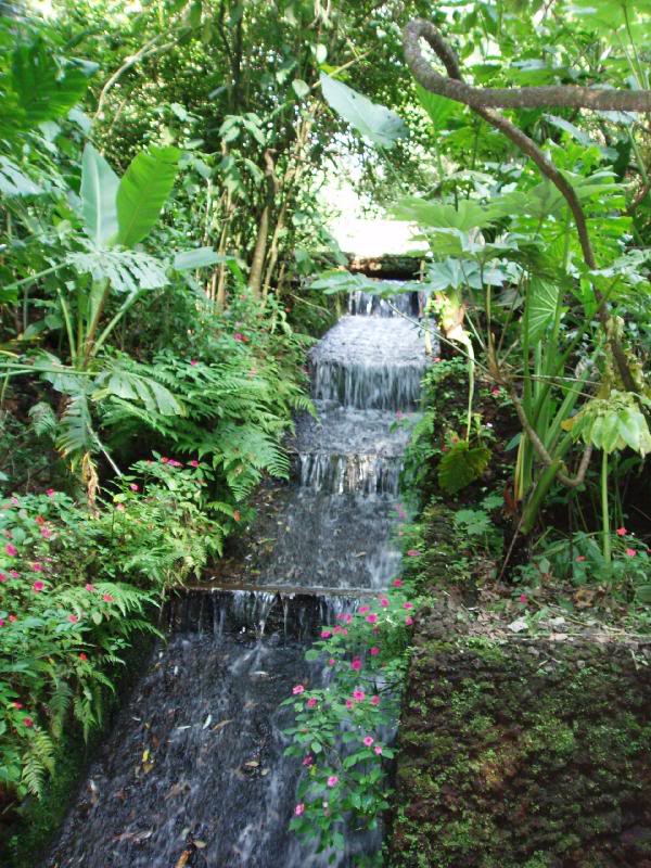 More Water and Foliage