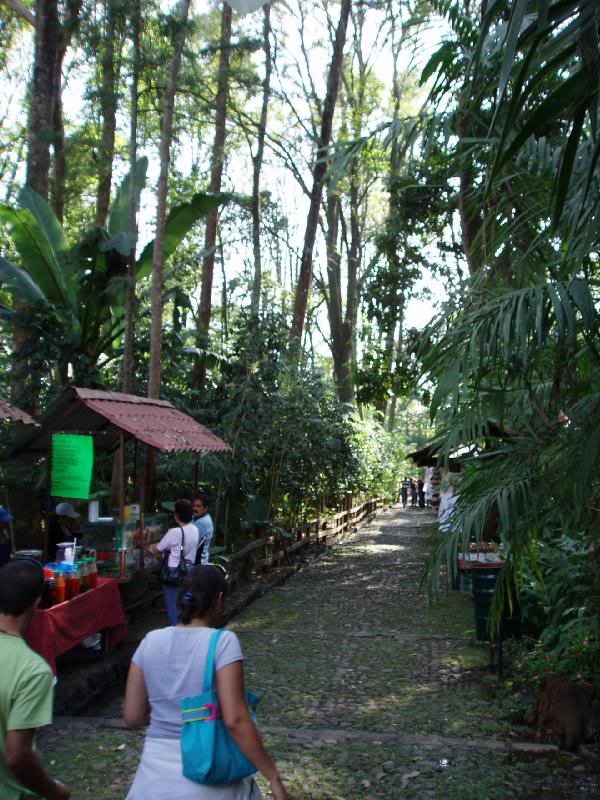 Near the Entrance of the Park